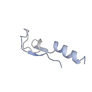 16182_8bqd_AO_v1-1
Yeast 80S ribosome in complex with Map1 (conformation 1)
