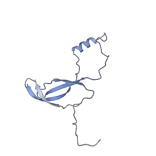 16182_8bqd_AP_v1-1
Yeast 80S ribosome in complex with Map1 (conformation 1)