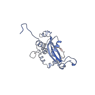 16182_8bqd_AQ_v1-1
Yeast 80S ribosome in complex with Map1 (conformation 1)