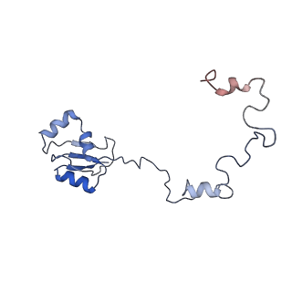16182_8bqd_AR_v1-1
Yeast 80S ribosome in complex with Map1 (conformation 1)