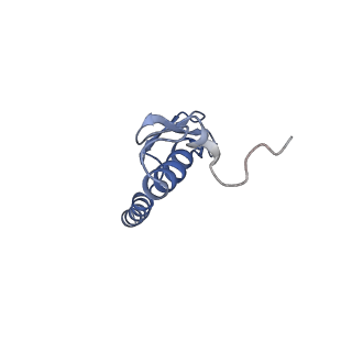16182_8bqd_AT_v1-1
Yeast 80S ribosome in complex with Map1 (conformation 1)