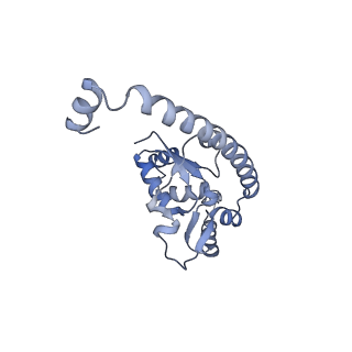 16182_8bqd_AU_v1-1
Yeast 80S ribosome in complex with Map1 (conformation 1)