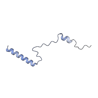 16182_8bqd_AV_v1-1
Yeast 80S ribosome in complex with Map1 (conformation 1)