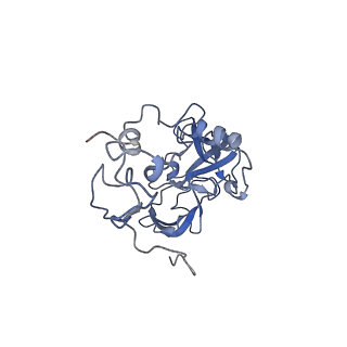 16182_8bqd_AW_v1-1
Yeast 80S ribosome in complex with Map1 (conformation 1)