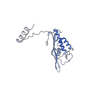 16182_8bqd_AX_v1-1
Yeast 80S ribosome in complex with Map1 (conformation 1)