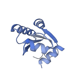16182_8bqd_AY_v1-1
Yeast 80S ribosome in complex with Map1 (conformation 1)