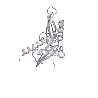 16182_8bqd_A_v1-1
Yeast 80S ribosome in complex with Map1 (conformation 1)