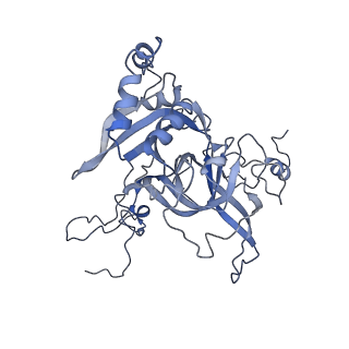 16182_8bqd_BA_v1-1
Yeast 80S ribosome in complex with Map1 (conformation 1)
