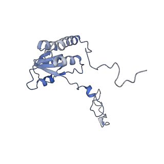 16182_8bqd_BB_v1-1
Yeast 80S ribosome in complex with Map1 (conformation 1)