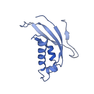 16182_8bqd_BC_v1-1
Yeast 80S ribosome in complex with Map1 (conformation 1)
