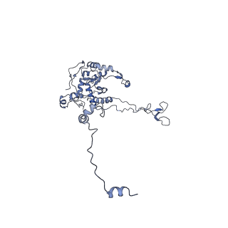 16182_8bqd_BE_v1-1
Yeast 80S ribosome in complex with Map1 (conformation 1)