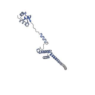 16182_8bqd_BF_v1-1
Yeast 80S ribosome in complex with Map1 (conformation 1)