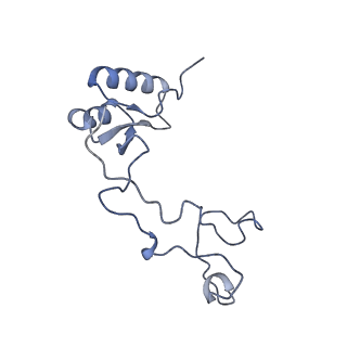16182_8bqd_BG_v1-1
Yeast 80S ribosome in complex with Map1 (conformation 1)
