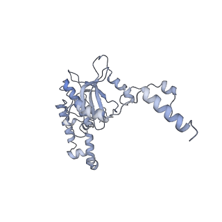 16182_8bqd_BI_v1-1
Yeast 80S ribosome in complex with Map1 (conformation 1)