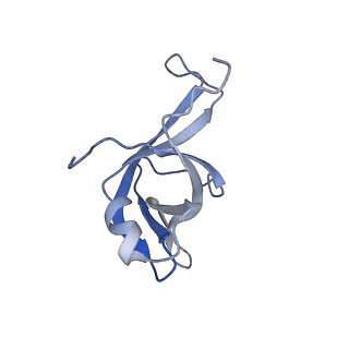 16182_8bqd_BK_v1-1
Yeast 80S ribosome in complex with Map1 (conformation 1)