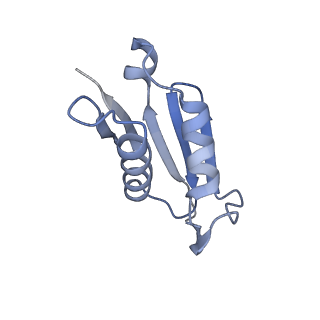 16182_8bqd_BL_v1-1
Yeast 80S ribosome in complex with Map1 (conformation 1)