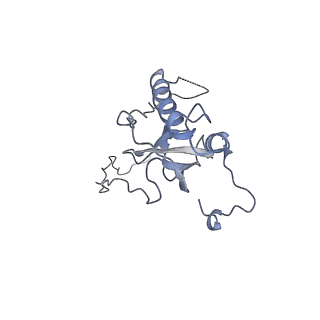 16182_8bqd_BM_v1-1
Yeast 80S ribosome in complex with Map1 (conformation 1)