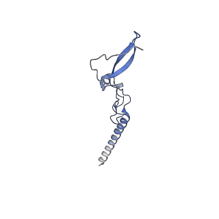 16182_8bqd_BN_v1-1
Yeast 80S ribosome in complex with Map1 (conformation 1)