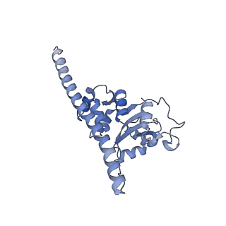 16182_8bqd_BO_v1-1
Yeast 80S ribosome in complex with Map1 (conformation 1)