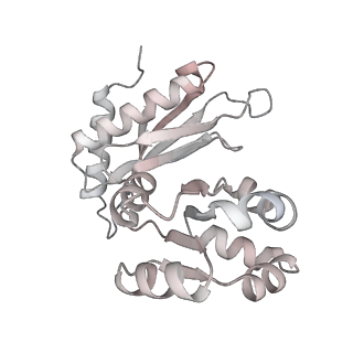 16182_8bqd_BT_v1-1
Yeast 80S ribosome in complex with Map1 (conformation 1)