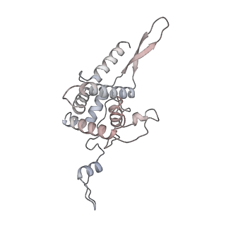 16182_8bqd_B_v1-1
Yeast 80S ribosome in complex with Map1 (conformation 1)