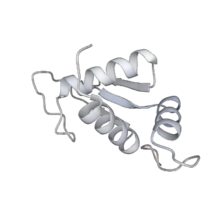 16182_8bqd_C_v1-1
Yeast 80S ribosome in complex with Map1 (conformation 1)