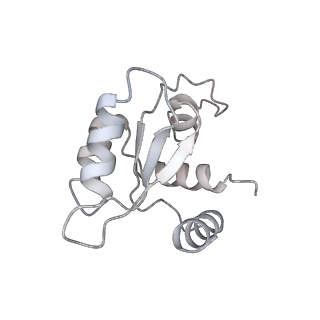 16182_8bqd_D_v1-1
Yeast 80S ribosome in complex with Map1 (conformation 1)