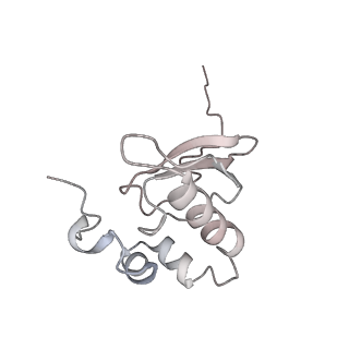 16182_8bqd_E_v1-1
Yeast 80S ribosome in complex with Map1 (conformation 1)
