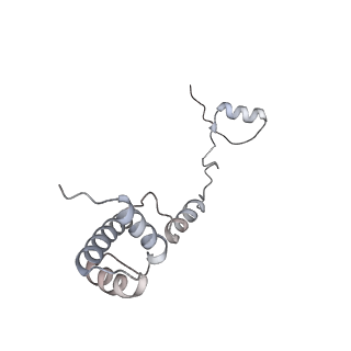 16182_8bqd_G_v1-1
Yeast 80S ribosome in complex with Map1 (conformation 1)