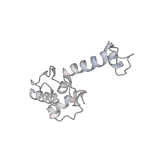16182_8bqd_H_v1-1
Yeast 80S ribosome in complex with Map1 (conformation 1)