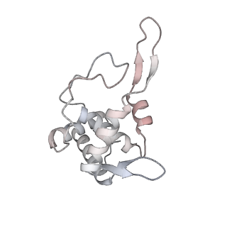 16182_8bqd_I_v1-1
Yeast 80S ribosome in complex with Map1 (conformation 1)