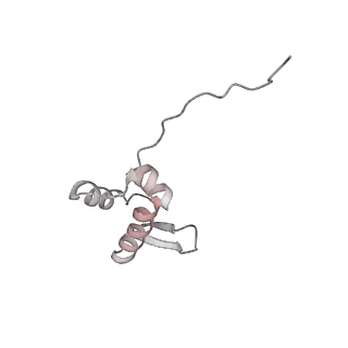 16182_8bqd_K_v1-1
Yeast 80S ribosome in complex with Map1 (conformation 1)