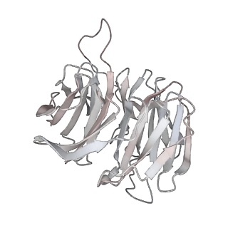 16182_8bqd_O_v1-1
Yeast 80S ribosome in complex with Map1 (conformation 1)