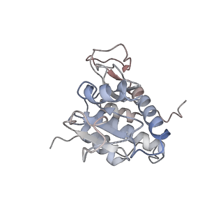 16182_8bqd_P_v1-1
Yeast 80S ribosome in complex with Map1 (conformation 1)