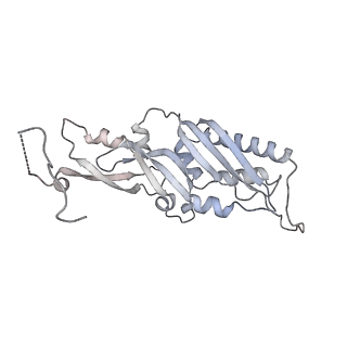 16182_8bqd_Q_v1-1
Yeast 80S ribosome in complex with Map1 (conformation 1)