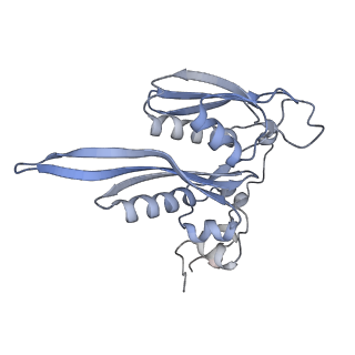 16182_8bqd_R_v1-1
Yeast 80S ribosome in complex with Map1 (conformation 1)