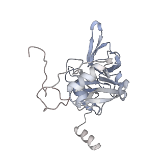 16182_8bqd_S_v1-1
Yeast 80S ribosome in complex with Map1 (conformation 1)