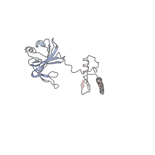 16182_8bqd_T_v1-1
Yeast 80S ribosome in complex with Map1 (conformation 1)