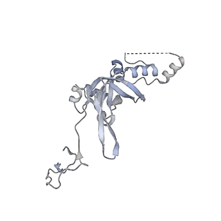 16182_8bqd_V_v1-1
Yeast 80S ribosome in complex with Map1 (conformation 1)