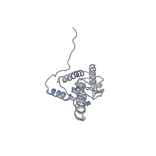 16182_8bqd_W_v1-1
Yeast 80S ribosome in complex with Map1 (conformation 1)