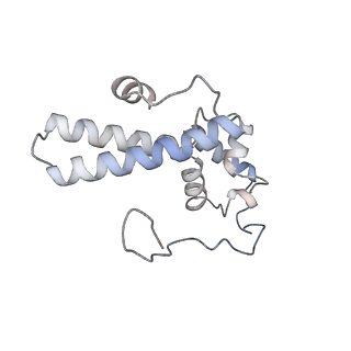 16182_8bqd_Y_v1-1
Yeast 80S ribosome in complex with Map1 (conformation 1)