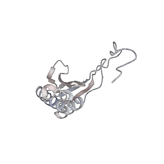 16182_8bqd_Z_v1-1
Yeast 80S ribosome in complex with Map1 (conformation 1)