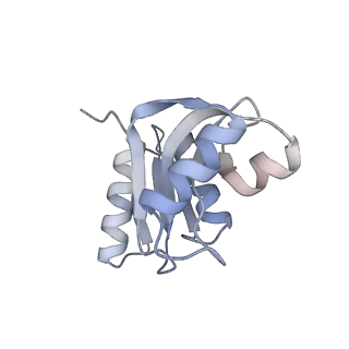 16182_8bqd_b_v1-1
Yeast 80S ribosome in complex with Map1 (conformation 1)