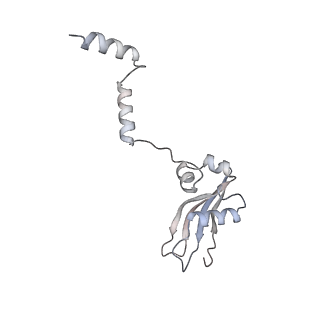 16182_8bqd_d_v1-1
Yeast 80S ribosome in complex with Map1 (conformation 1)