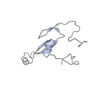 16182_8bqd_e_v1-1
Yeast 80S ribosome in complex with Map1 (conformation 1)