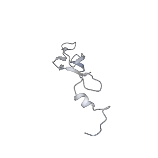 16182_8bqd_f_v1-1
Yeast 80S ribosome in complex with Map1 (conformation 1)