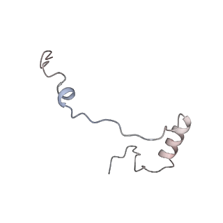 16182_8bqd_g_v1-1
Yeast 80S ribosome in complex with Map1 (conformation 1)