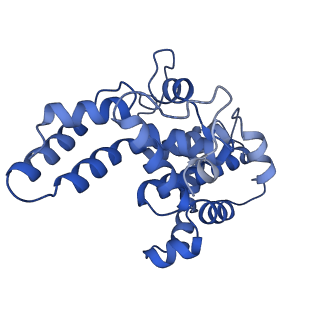 16183_8bqe_A_v1-0
In situ structure of the Caulobacter crescentus S-layer