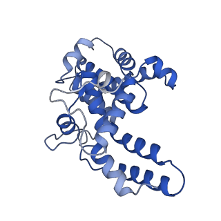 16183_8bqe_C_v1-0
In situ structure of the Caulobacter crescentus S-layer