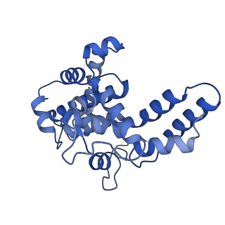 16183_8bqe_D_v1-0
In situ structure of the Caulobacter crescentus S-layer